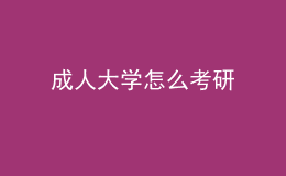 成人大学怎么考研