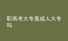 职高考大专是成人大专吗