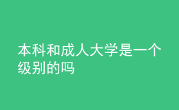 本科和成人大学是一个级别的吗