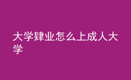 大学肄业怎么上成人大学