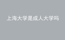 上海大学是成人大学吗