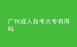 广州成人自考大专有用吗 