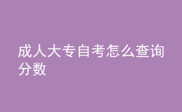 成人大专自考怎么查询分数 