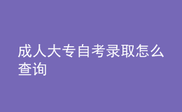 成人大专自考录取怎么查询 