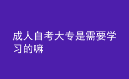 成人自考大专是需要学习的嘛 