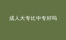 成人大专比中专好吗