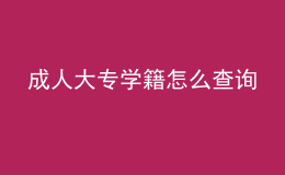 成人大专学籍怎么查询