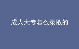 成人大专怎么录取的