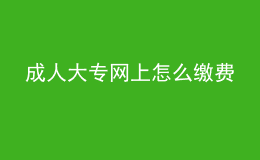 成人大专网上怎么缴费