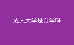 成人大学是自学吗