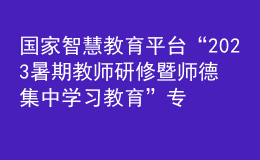 国家智慧教育平台“2023暑期教师研修暨师德集中学习教育”专题结业