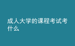 成人大学的课程考试考什么