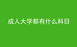 成人大学都有什么科目