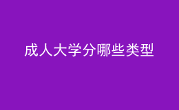 成人大学分哪些类型