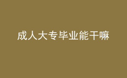 成人大专毕业能干嘛