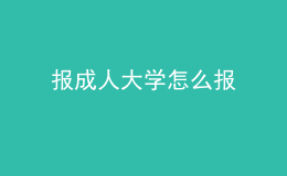 报成人大学怎么报