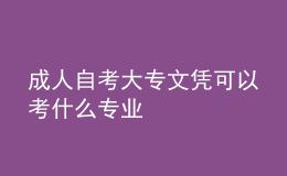 成人自考大专文凭可以考什么专业 