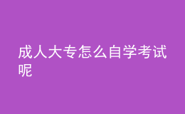 成人大专怎么自学考试呢 