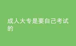 成人大专是要自己考试的 