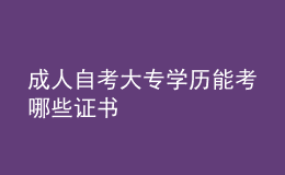 成人自考大专学历能考哪些证书 