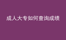 成人大专如何查询成绩