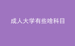 成人大学有些啥科目