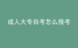 成人大专自考怎么报考 