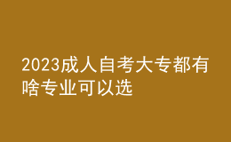 2023成人自考大专都有啥专业可以选 