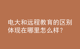 电大和远程教育的区别体现在哪里怎么样？