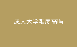 成人大学难度高吗