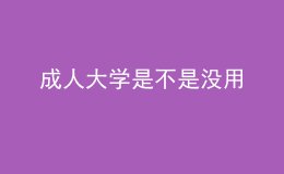 成人大学是不是没用