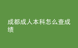 成都成人本科怎么查成绩