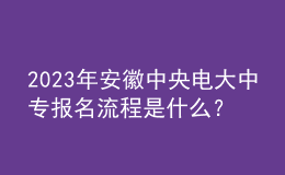 2023年安徽中央电大中专报名流程是什么？