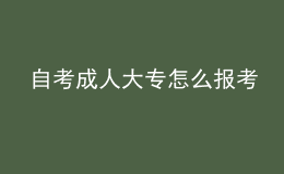 自考成人大专怎么报考 