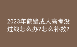 2023年鹤壁成人高考没过线怎么办?怎么补救?