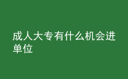 成人大专有什么机会进单位