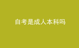 自考是成人本科吗 