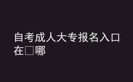 自考成人大专报名入口在​哪 