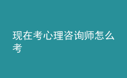 现在考心理咨询师怎么考