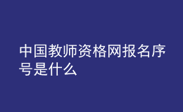 中国教师资格网报名序号是什么