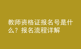 教师资格证报名号是什么？报名流程详解