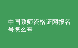 中国教师资格证网报名号怎么查