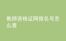 教师资格证网报名号怎么查