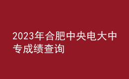 2023年合肥中央电大中专成绩查询