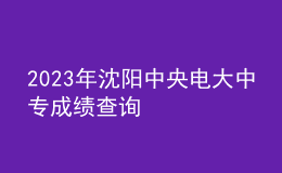 2023年沈阳中央电大中专成绩查询
