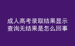 成人高考录取结果显示查询无结果是怎么回事