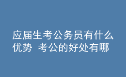 应届生考公务员有什么优势 考公的好处有哪些