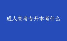 成人高考专升本考什么