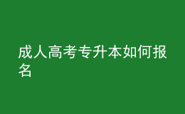 成人高考专升本如何报名