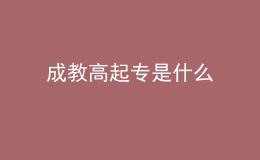 成教高起专是什么